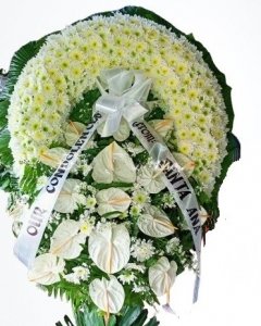 love that will never fade